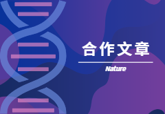 登顶Nature|产量+抗性，鱼和熊掌也可兼得